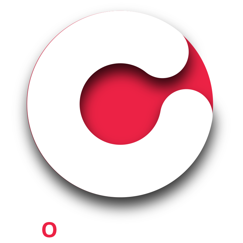Developer Logo